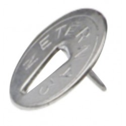 Punaises tête plate -...