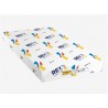Ramette papier de 250 feuilles BLANC A3 160g