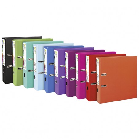 Classeur à levier - Pour format 21x29,7 cm  avec porte étiquette - Dos 50 mm Coloris divers