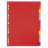Jeu intercalaire carte lustrée pour classeur 21x29,7 cm - Jeu de 12 - standard