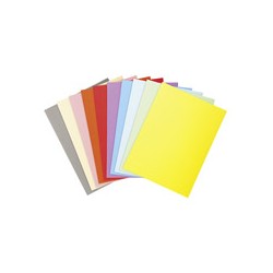 Chemise cartonnée PASTEL...