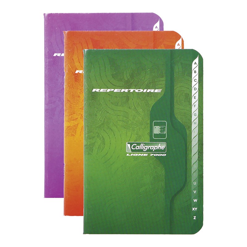 Répertoire piqure  SEYES 96 pages - 17 x 22 cm