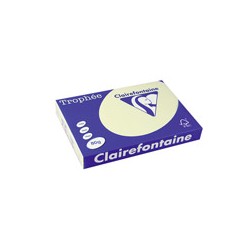 Ramette papier de 500 feuilles Couleur pastel A3 80g