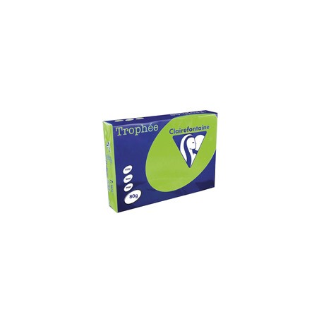 Ramette papier de 500 feuilles Couleur intense A3 80g