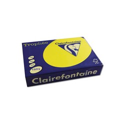 Ramette papier de 500 feuilles Couleur intense A3 80g