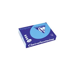 Ramette papier de 500 feuilles Couleur intense A3 80g