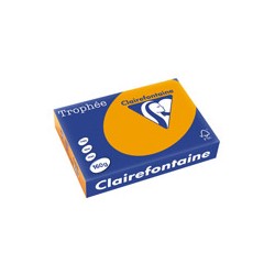 Ramette papier de 250 feuilles : Couleur PASTEL A4 160g