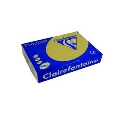 Ramette papier de 250 feuilles : Couleur PASTEL A4 160g